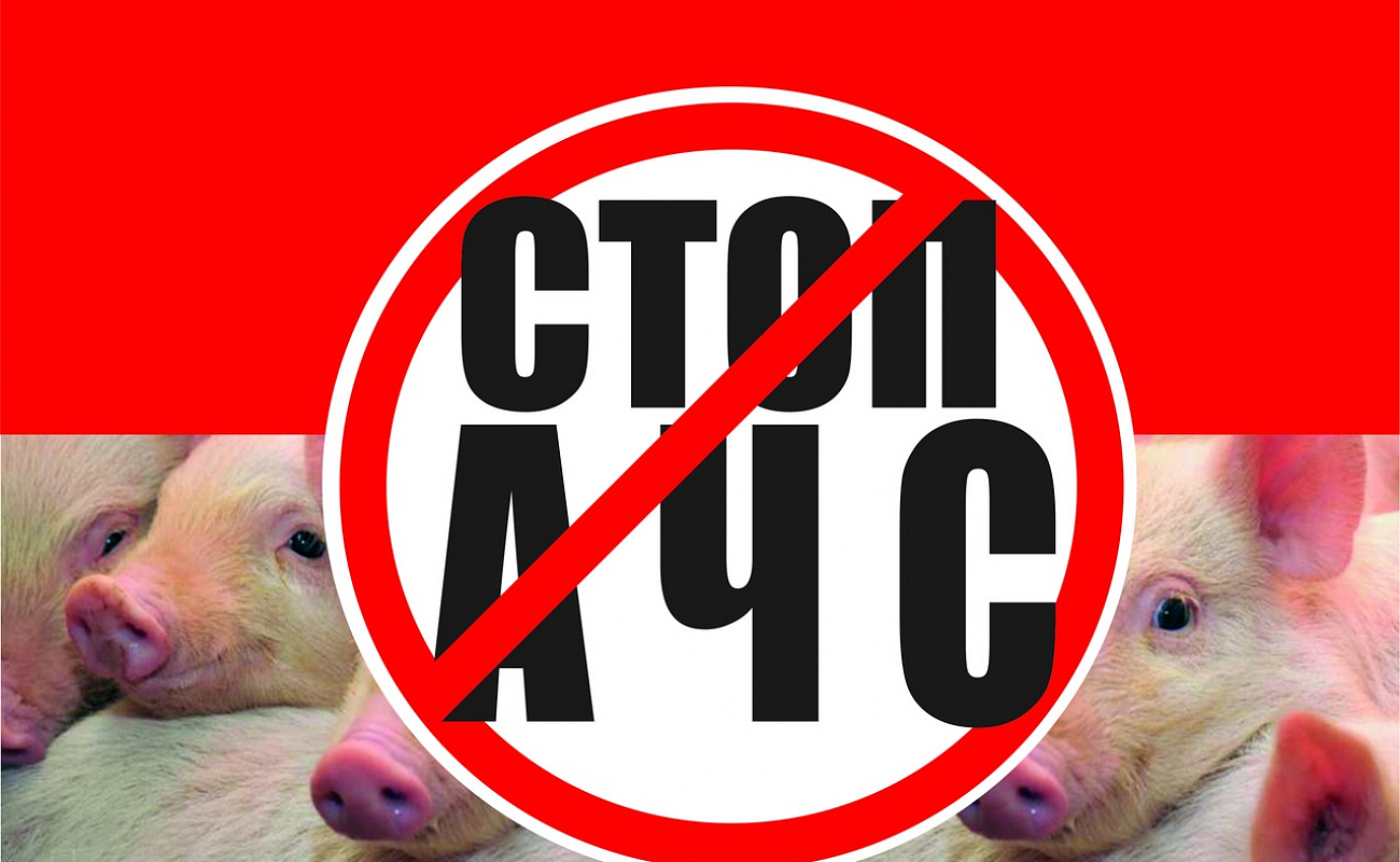 О проведении собрания.