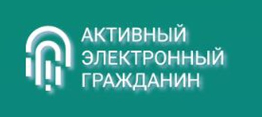 Голосование с использованием информационного ресурса &quot;Активный электронный гражданин&quot;.