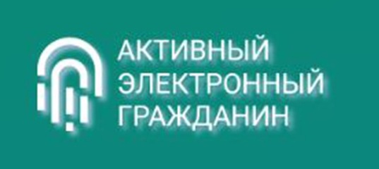 Голосование с использованием информационного ресурса "Активный электронный гражданин". Голосование с использованием информационного ресурса "Активный электронный гражданин".