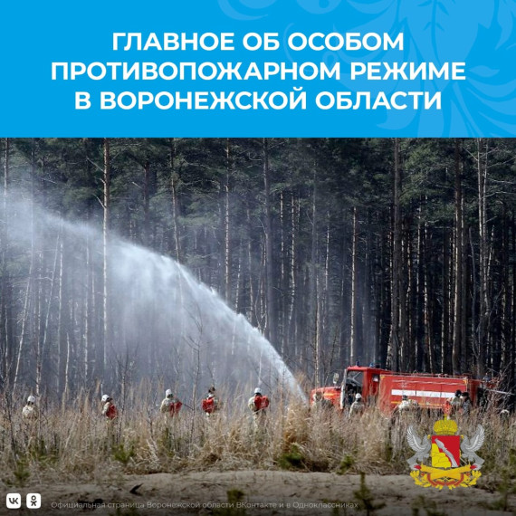 Об установлении особого противопожарного режима на территории Воронежской области. Об установлении особого противопожарного режима на территории Воронежской области.